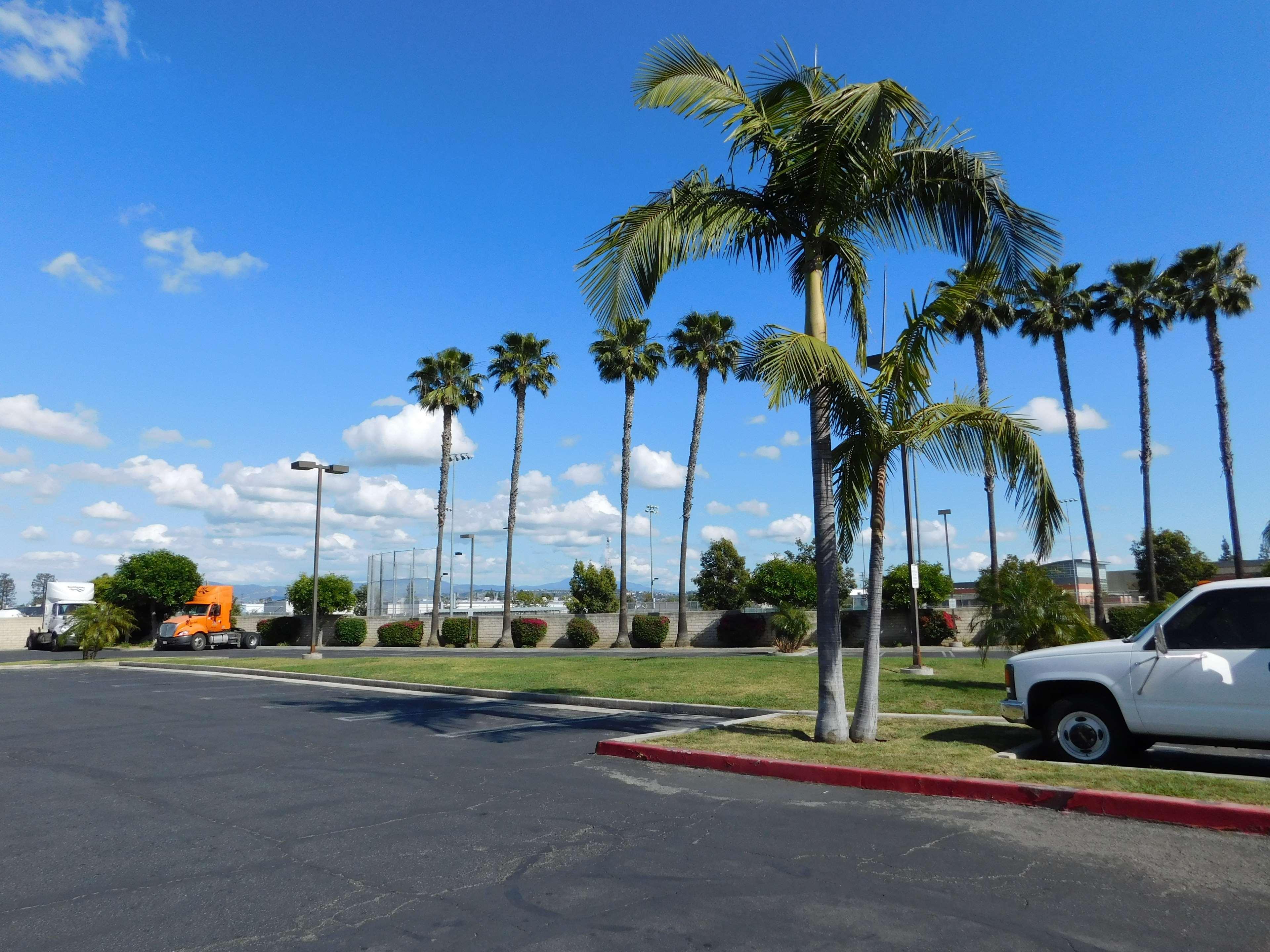 Best Western Plus - Anaheim Orange County Hotel Placentia Extérieur photo