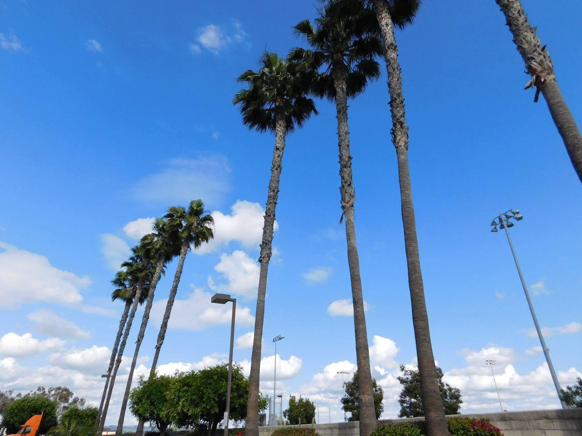 Best Western Plus - Anaheim Orange County Hotel Placentia Extérieur photo